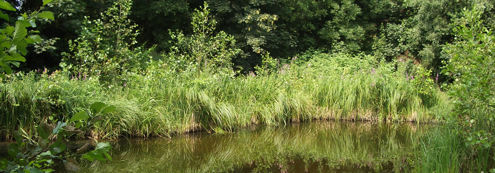Willkommen bei ProTiNa<br />Stiftung für Tier- und Naturschutz