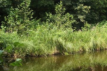 Willkommen bei ProTiNa<br />Stiftung für Tier- und Naturschutz